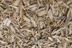 biomass boilers Silkstead